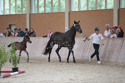 Freispringen 173