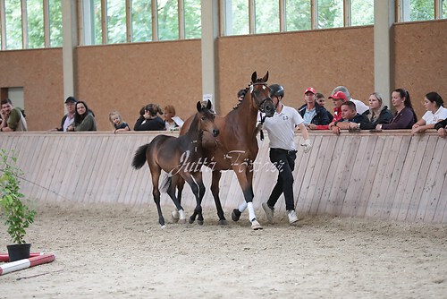 Freispringen 29