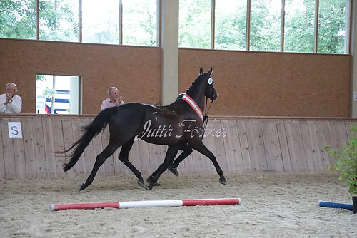 Siegerehrung 81