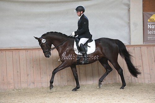 Stutenleistung0135