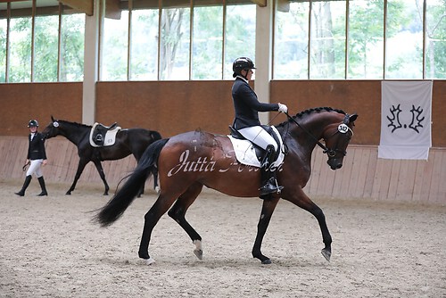 Stutenleistung0101