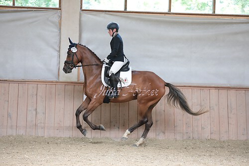 Stutenleistung0202