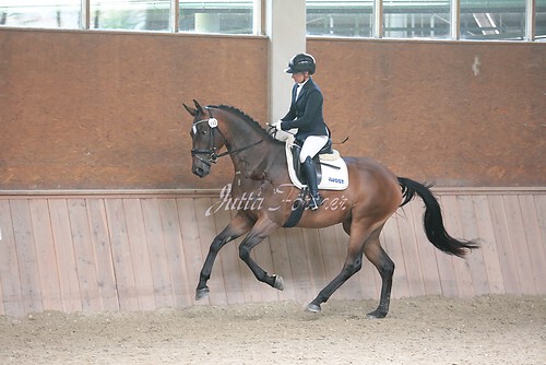 Stutenleistung0158