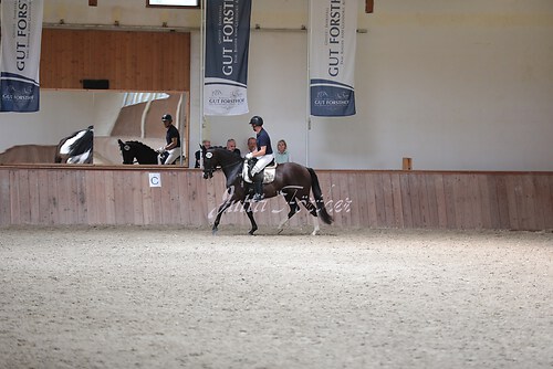 Stutenleistung0185