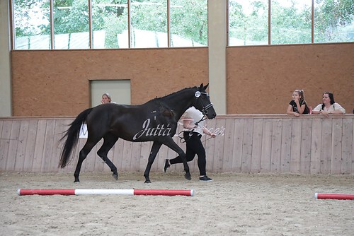 Siegerehrung 284