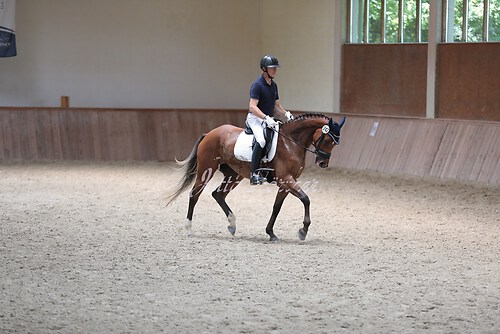Stutenleistung0196