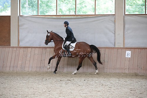 Stutenleistung0063