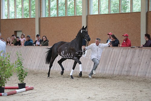 Freispringen 127