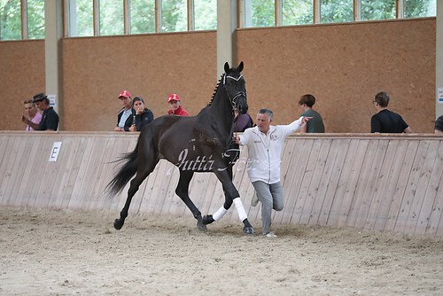 Freispringen 125