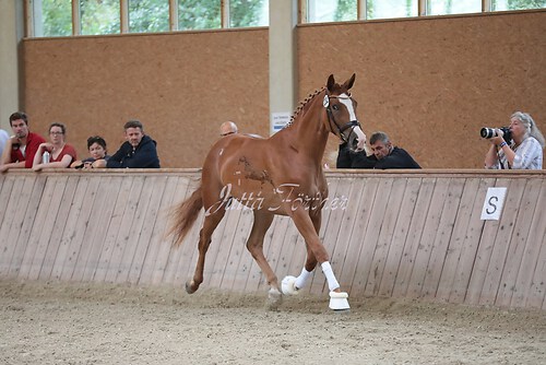 Freispringen 433