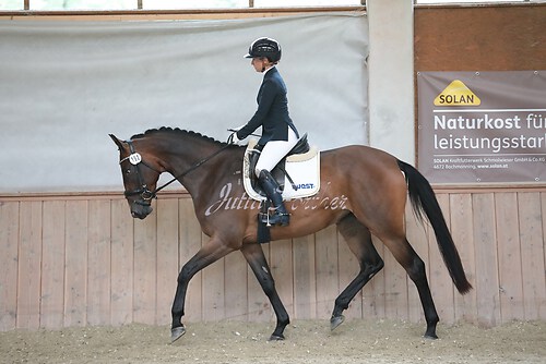 Stutenleistung0170