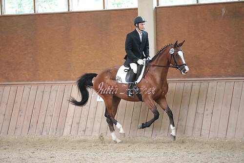 Stutenleistung0069