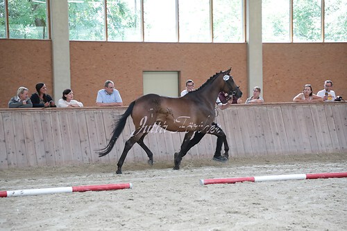 Siegerehrung 330