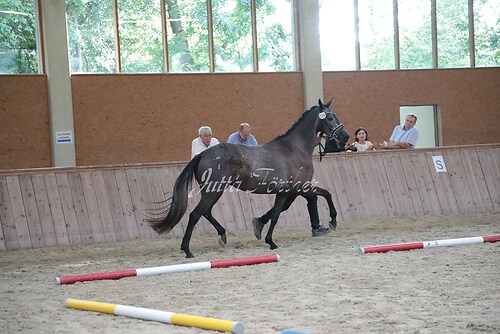 Siegerehrung 8