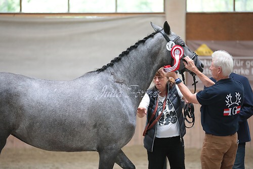 Siegerehrung Stutenleistung0047