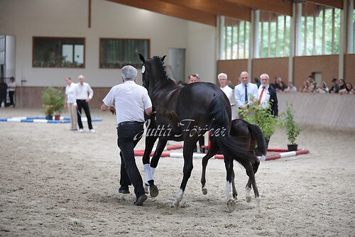 Freispringen 70
