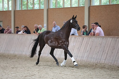 Freispringen 338