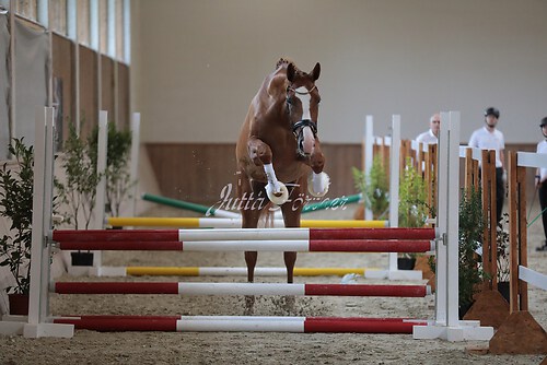 Freispringen 426