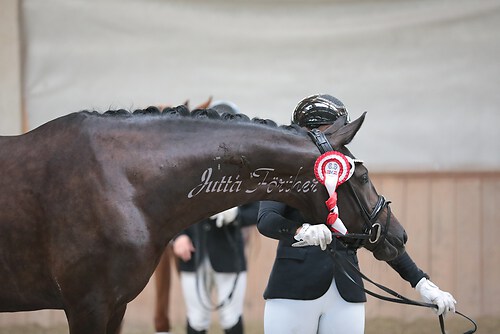 Siegerehrung Stutenleistung0044