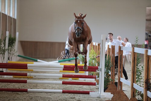 Freispringen 352