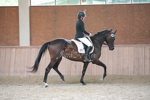 Stutenleistung0118