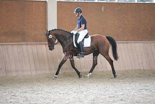 Stutenleistung0046