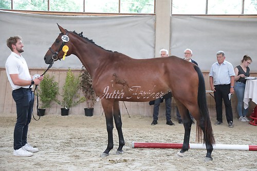 Siegerehrung 295