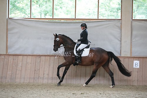 Stutenleistung0095