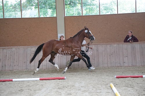 Siegerehrung 212