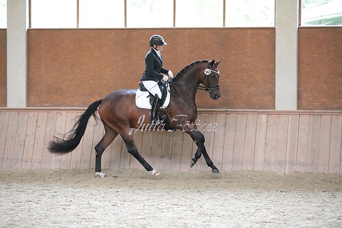 Stutenleistung0105