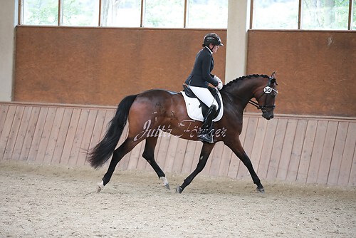 Stutenleistung0088