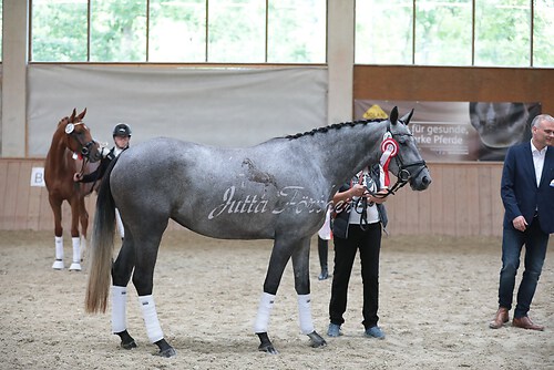 Siegerehrung Stutenleistung0049