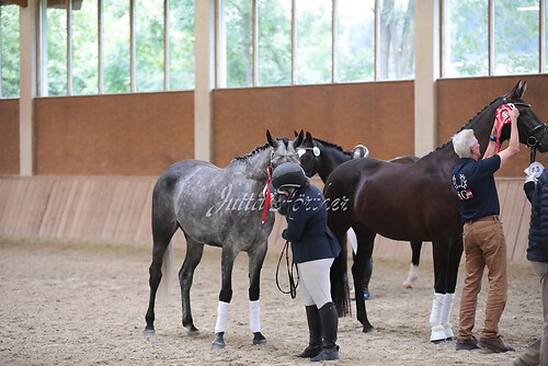 Siegerehrung Stutenleistung0150