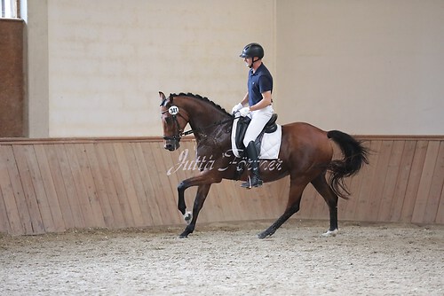 Stutenleistung0043