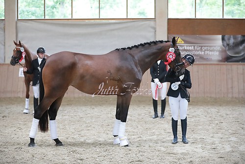 Siegerehrung Stutenleistung0067