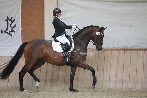 Stutenleistung0100