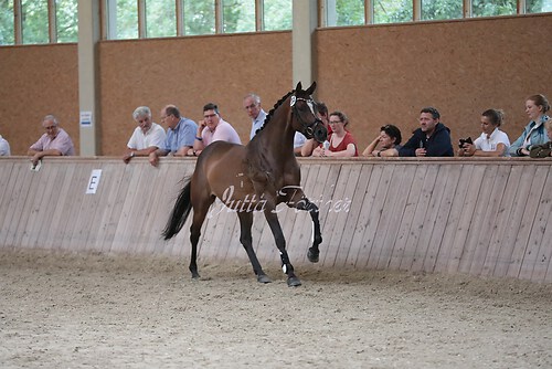 Freispringen 405