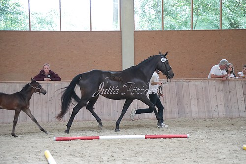 Siegerehrung 216