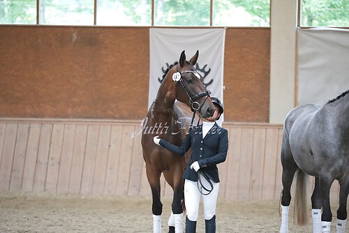 Siegerehrung Stutenleistung0006