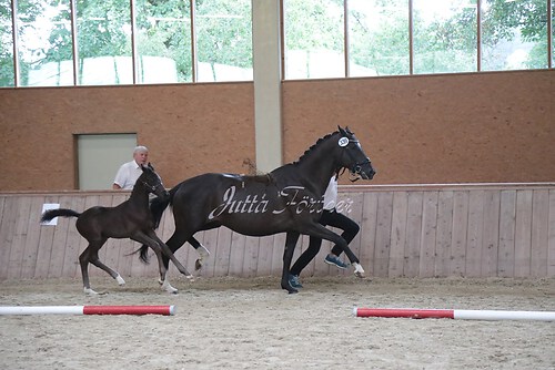 Siegerehrung 188