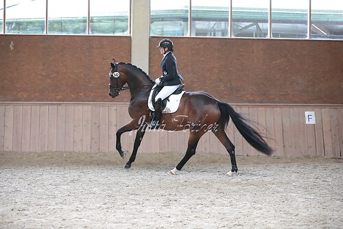 Stutenleistung0103