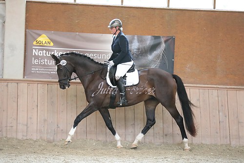 Stutenleistung0058