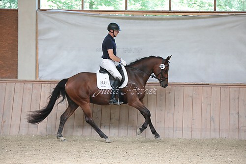 Stutenleistung0214
