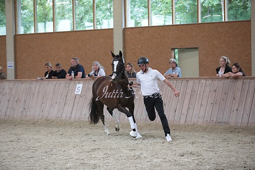 Freispringen 393