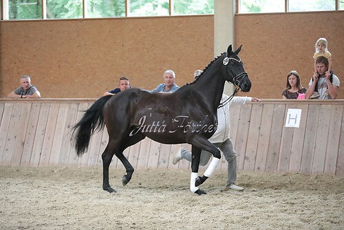 Freispringen 122