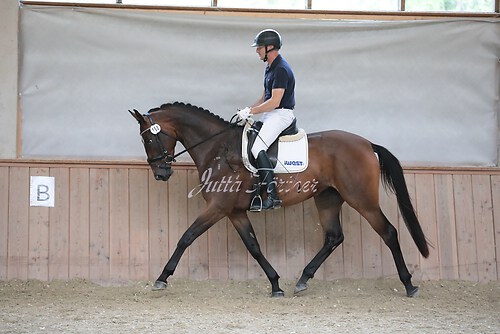 Stutenleistung0147