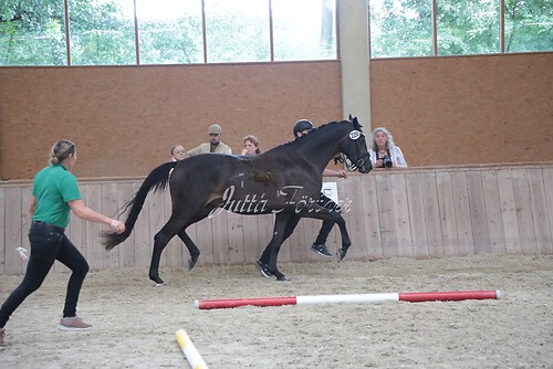 Siegerehrung 53