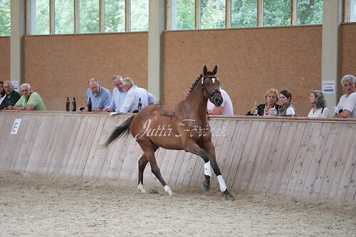 Freispringen 325