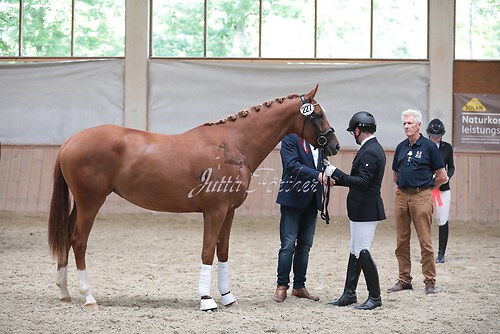 Siegerehrung Stutenleistung0027