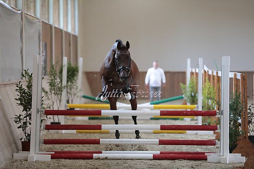 Freispringen 206